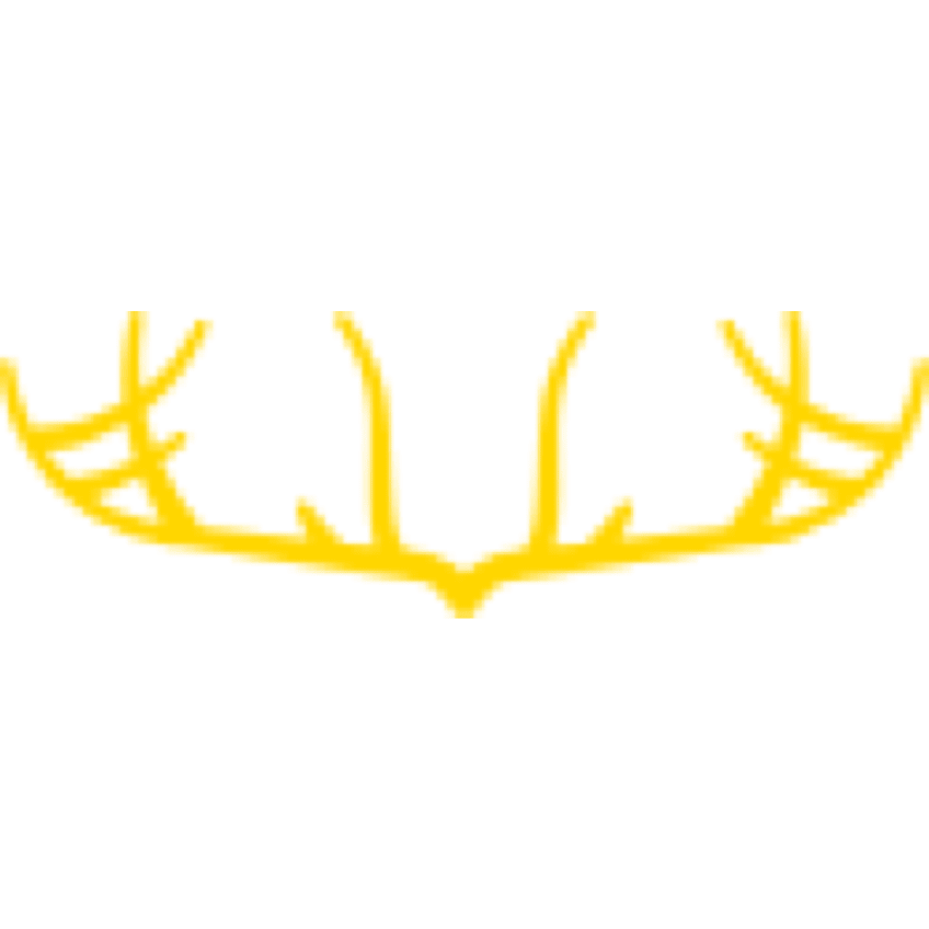 Gold Stag